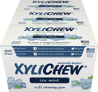 Xylichew - Ice Mint 24 Pack Case