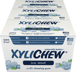 Xylichew - Ice Mint 24 Pack Case