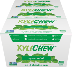 Xylichew - Spearmint 24 Pack Case