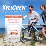 Xylichew Xylitol Gum - Cinnamon - 50 Pieces