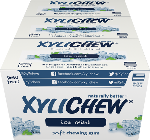 Xylichew - Ice Mint 24 Pack Case