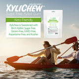 Xylichew Gum - Natural Spearmint - 500 Pieces