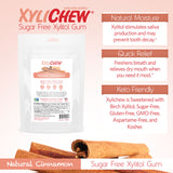 Xylichew Gum - Cinnamon - 500 Pieces