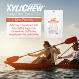 Xylichew Gum - Cinnamon - 500 Pieces