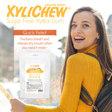 Xylichew Gum - Natural Fruit - 500 Pieces