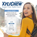 Xylichew Gum - Ice Mint - 500 Pieces