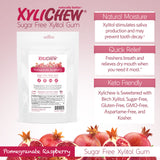 Xylichew Gum - Pomegranate Raspberry - 500 Pieces