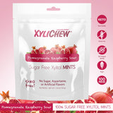 Xylichew - Raspberry Pomegranate Xylitol Mints - 100 Pieces
