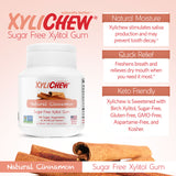 Xylichew Gum - Cinnamon Jar - 60 Pieces
