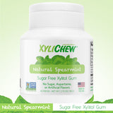 Xylichew Gum - Spearmint - 60 Pieces