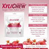 Xylichew Xylitol Gum - Pomegranate Raspberry - 50 Pieces
